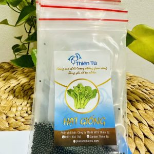Hạt Giống Rau Cải Ngọt