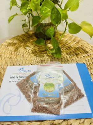 Hạt Giống Cải Mầm