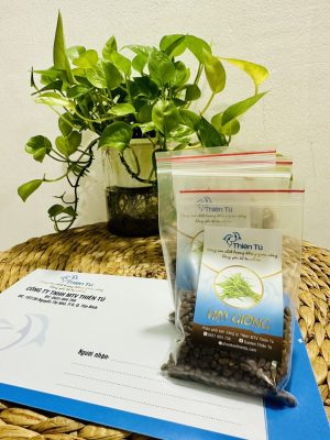 Hạt Giống Rau Muống