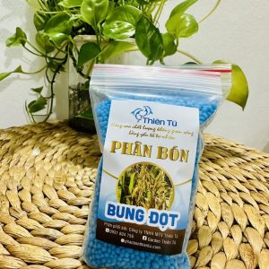 Phân Bung Đọt
