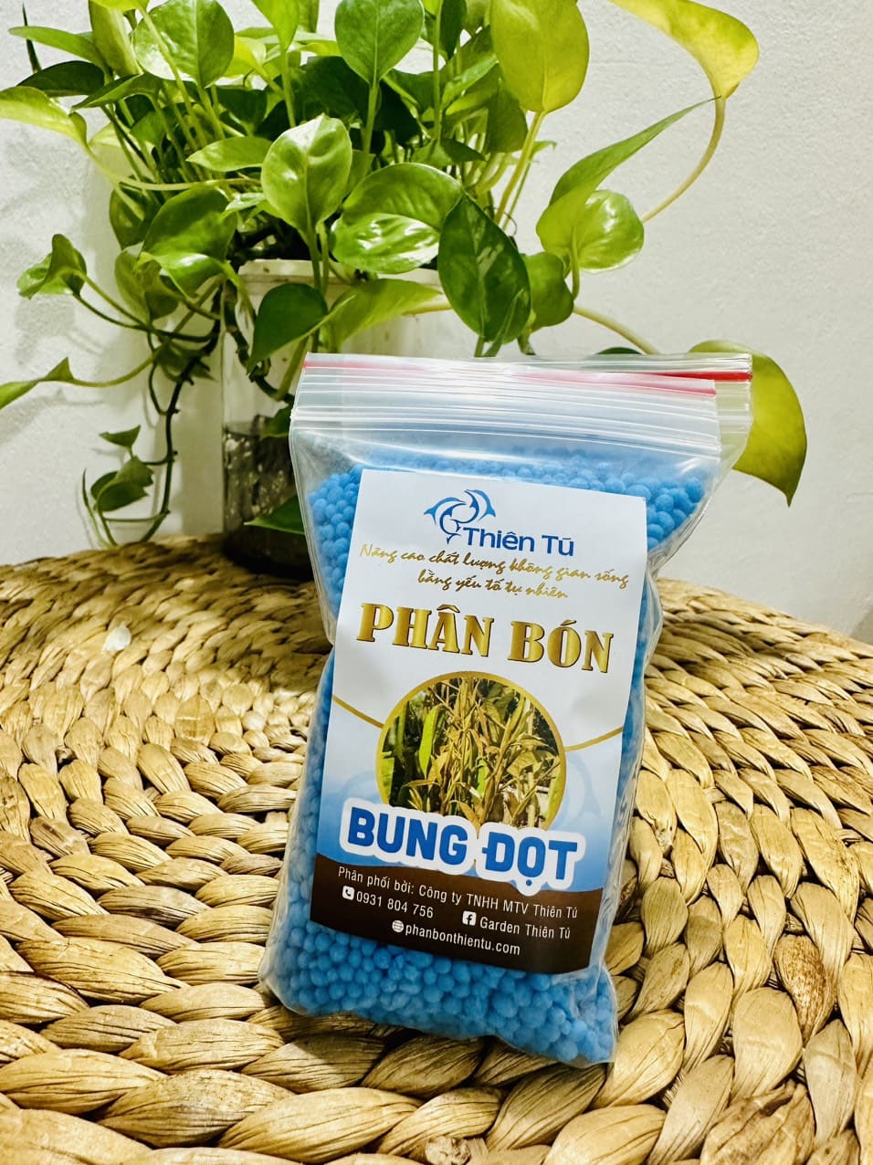 PHAN BUNG DOT 1
