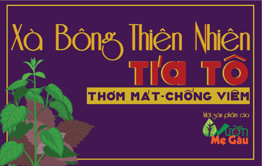 XA BONG TIA TO 2