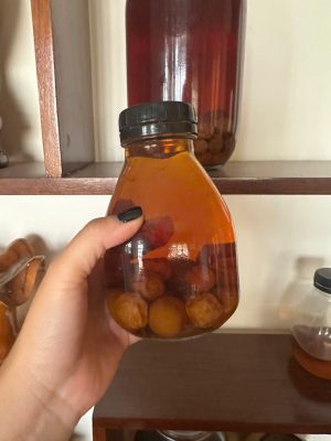 Rượu Mơ